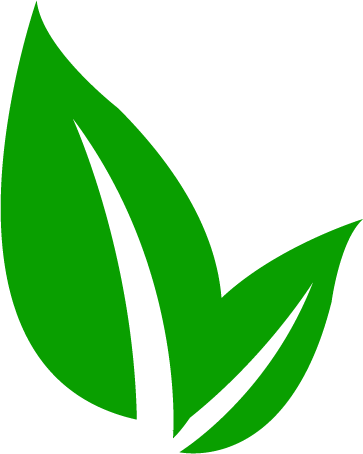 Life Strategies green leaf icon